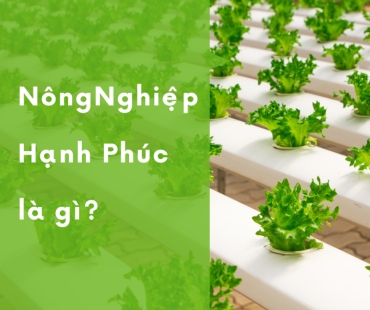 Hệ sinh thái nông nghiệp hạnh phúc:  một lĩnh vực hay hành trình từ đất mẹ đến tương lai?